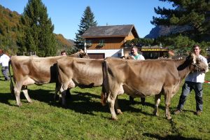 006Schneuter ltere